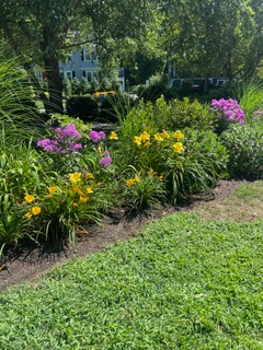 A garden bed in Lexington, Massaachusetts.